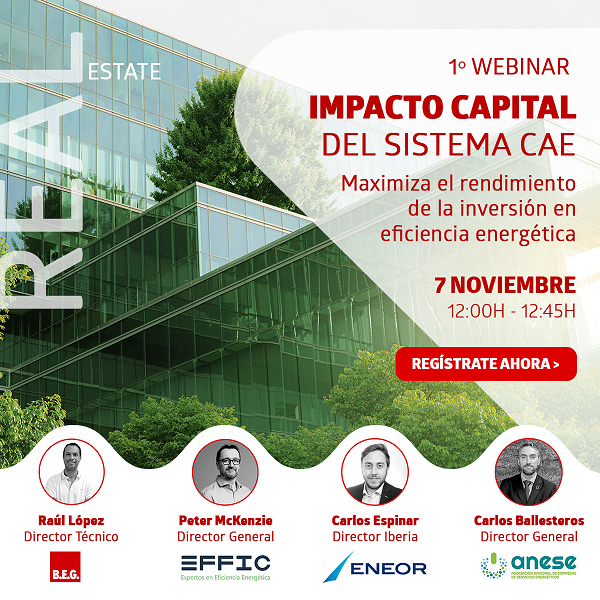 ANESE en webinar sobre CAE en Rea Estate