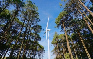 Iberdrola obtiene luz verde para instalar el mayor parque eólico de Portugal