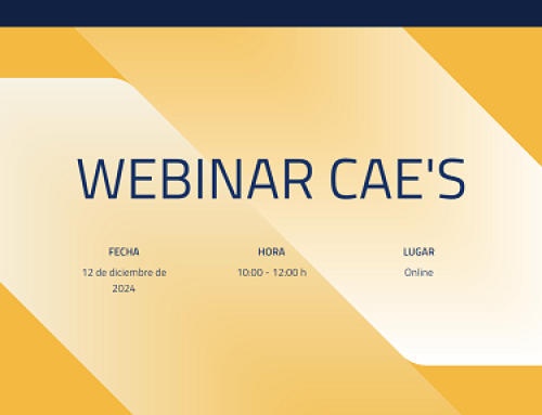ANESE participa en el webinar sobre CAE organizado por ANFALUM