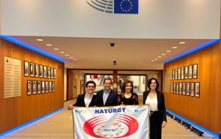 Naturgy ha sido reconocida en el Parlamento Europeo