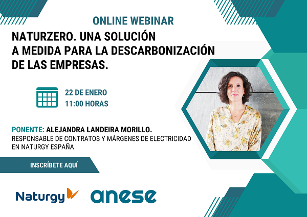 Webinar Online - Descarbonización de las empresas