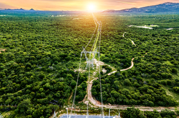 Iberdrola bate récord de energía distribuida